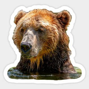 Griz Bath Time Sticker